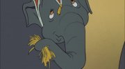 Dumbo