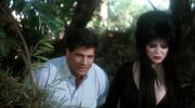 Elvira: Mistress of the Dark
