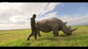 Extinction: The Facts