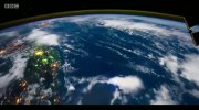 Extinction: The Facts