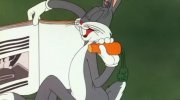 Falling Hare