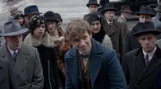 Fantastic Beasts and Where to Find Them