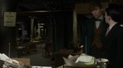 Fantastic Beasts and Where to Find Them