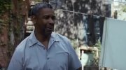 Fences