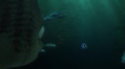 Finding Dory