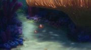 Finding Dory