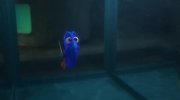 Finding Dory