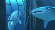 Finding Dory