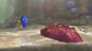 Finding Dory