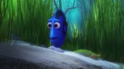 Finding Dory