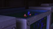 Finding Dory