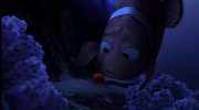 Finding Nemo
