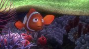 Finding Nemo