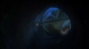 Finding Nemo