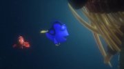 Finding Nemo