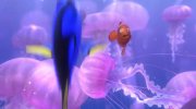Finding Nemo