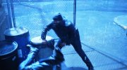 Fist Fight