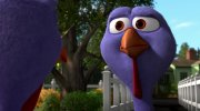Free Birds