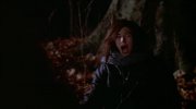 Ginger Snaps
