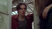 Ginger Snaps