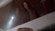 Ginger Snaps