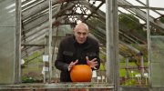 Gravity and Me: The Force That Shapes Our Lives