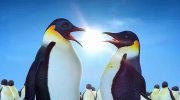 Happy Feet