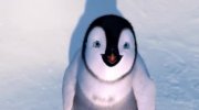 Happy Feet