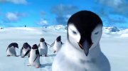Happy Feet