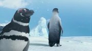 Happy Feet