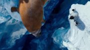 Happy Feet Two