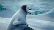 Happy Feet Two