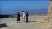 Harold and Maude