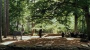 Harry Potter and the Prisoner of Azkaban