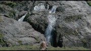 Highlander