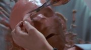 Hollow Man