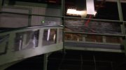 Homeward Bound II: Lost in San Francisco