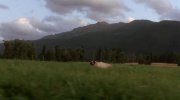 Homeward Bound: The Incredible Journey