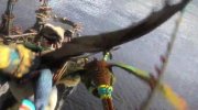 How to Train Your Dragon 2