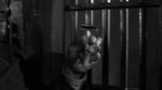 In Cold Blood