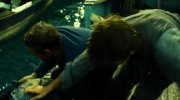 In the Heart of the Sea
