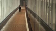 In the Loop