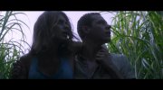 In the Tall Grass