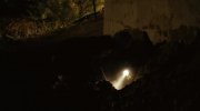 Into the Wild