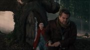 Into the Woods