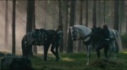 Into the Woods