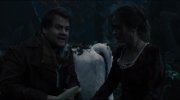 Into the Woods