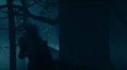 Into the Woods