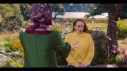 Irish Wish