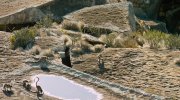 Island of Lemurs: Madagascar